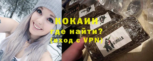 дживик Арсеньев