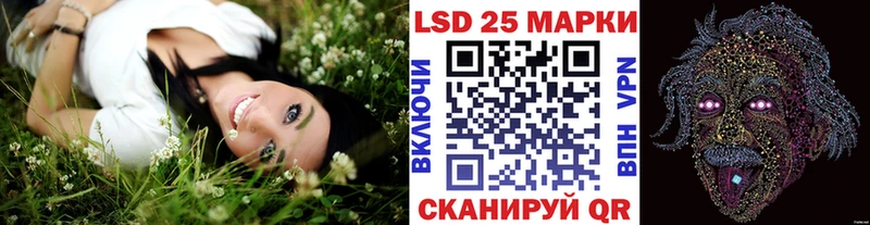 купить наркоту  Тавда  Наркотические марки 1,5мг 