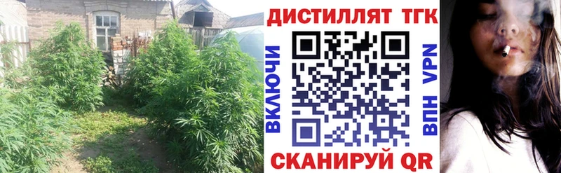 kraken как войти  Тавда  Дистиллят ТГК жижа  цена наркотик 